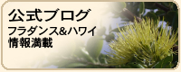 �t���_���X����/�����u���O